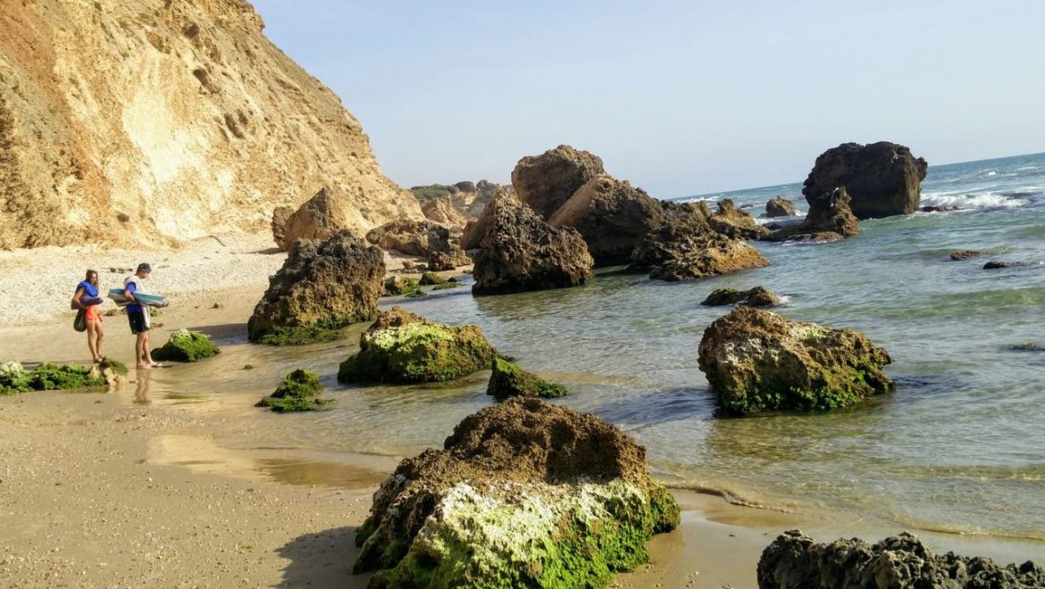 הפלסטיק מהווה כ-80% מסך הפסולת שנמצאת בחופי הים. איזה חוף נמצא נקי יותר בחודש האחרון?
