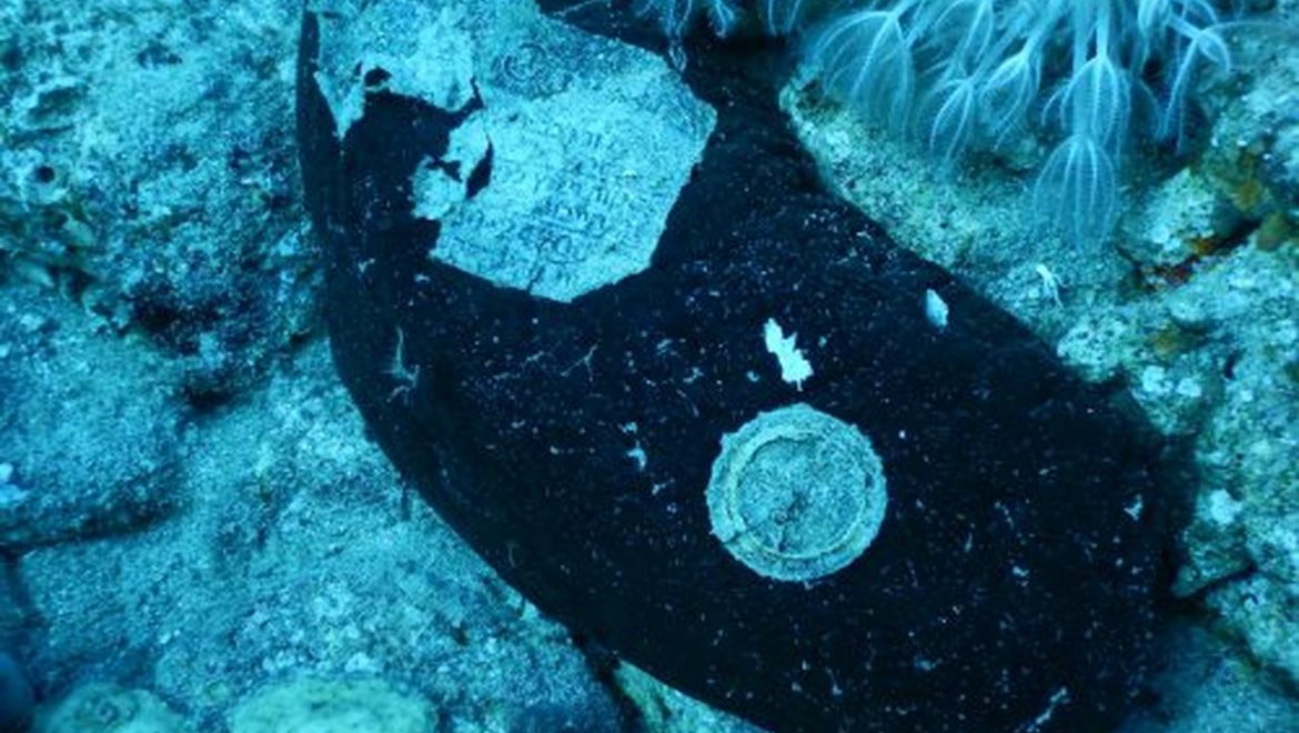 זיהומי פלסטיק נמצאו בבעלי חיים ימיים לכל אורך חופי ישראל בים התיכון ובים סוף