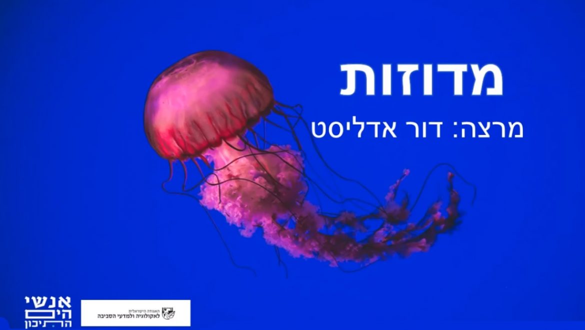 מדוזות בים התיכון מרצה: ד"ר דור אדליסט