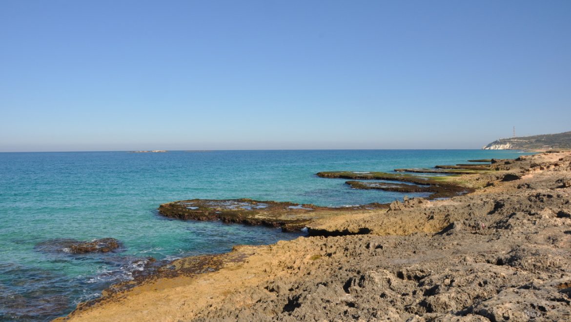 כשהים טובע: הסכנות מעליית מפלס פני הים בחופי ישראל