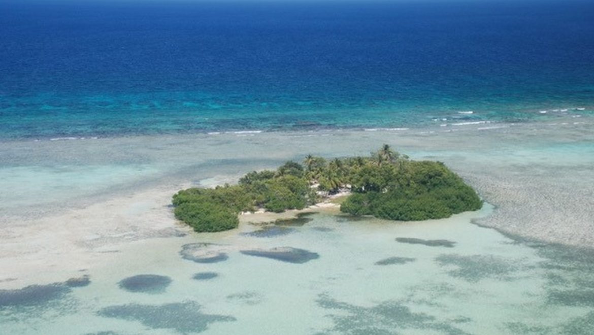 ארגון TIME רכש אטול אלמוגים באיים הקאריביים כדי להגן על החיים בו
